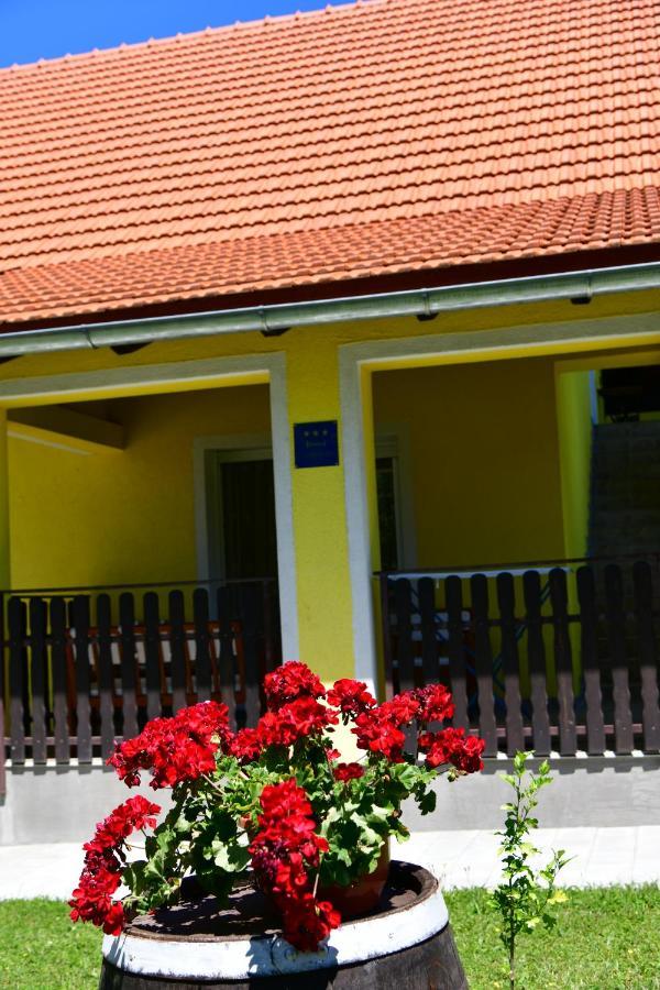 Apartman Vito Saborsko Exterior photo